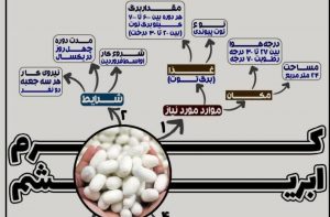 نوغان داران