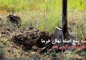 کاشت نهال خرما به یاد شهید محمد آبادی زاده