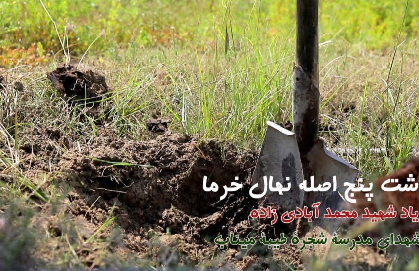 کاشت نهال خرما به یاد شهید محمد آبادی زاده