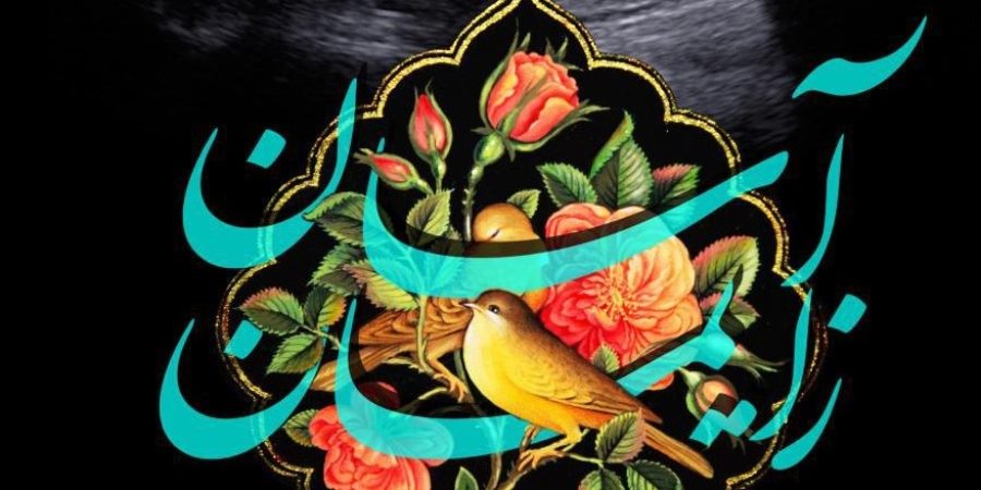آموزش قابلگی و زایمان طبیعی در خانه